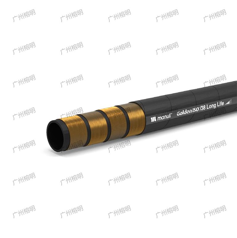 GOLDENISO-38 LONGLIFE.jpg